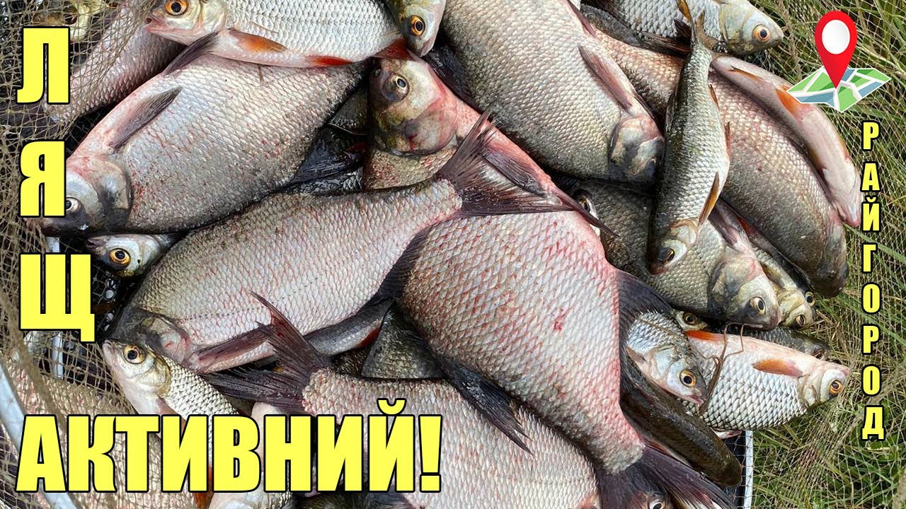 10 кг риби. Фідерна рибалка у перший день осені! Південний Буг роздає.