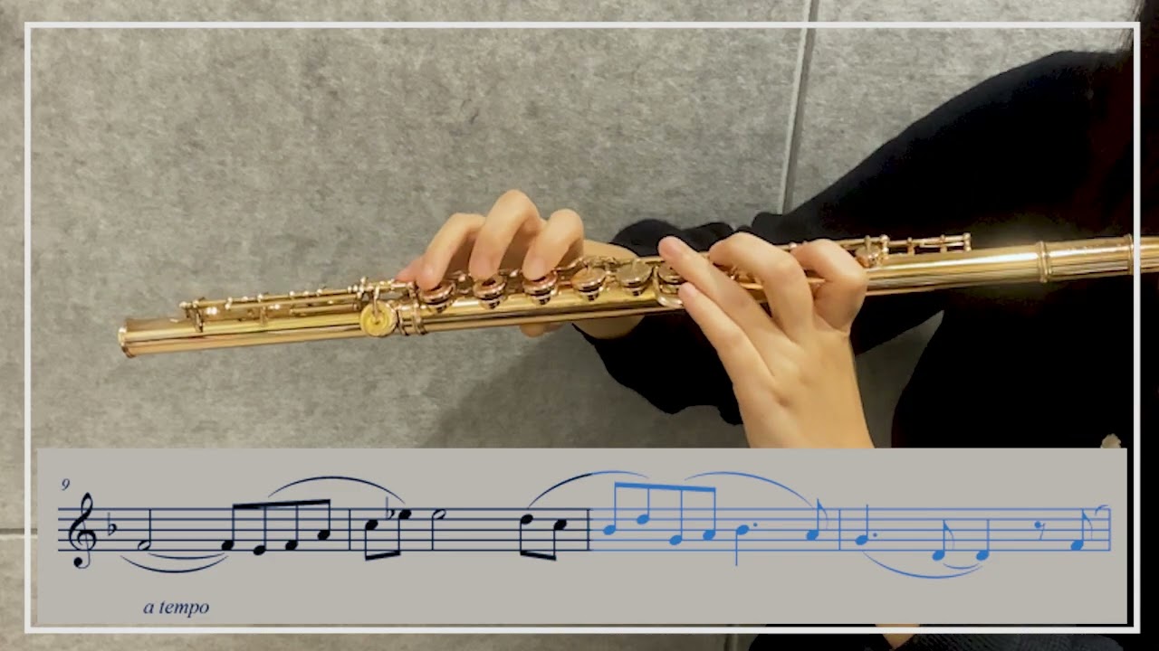 (피아노 반주) R. Schumann -  Träumerei for Flute and Piano (Op.15 - 7)  Accompaniment