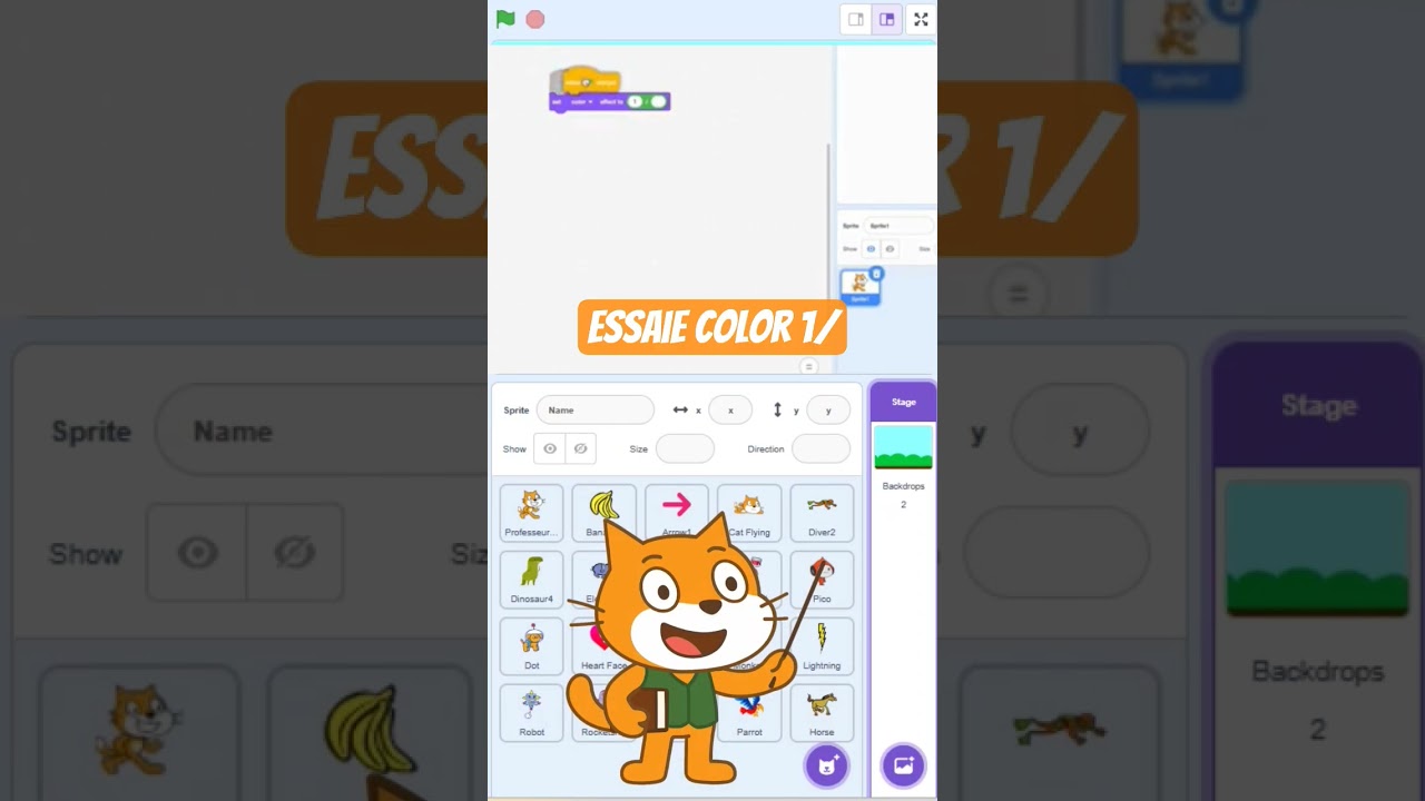 Qui code &ccedil;a sur scratch ? effet noir et blanc