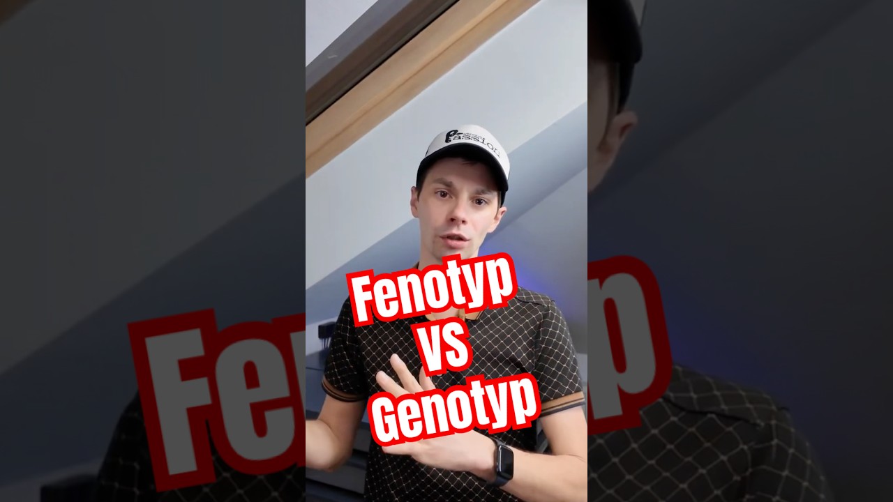 Fenotyp VS Genotyp 