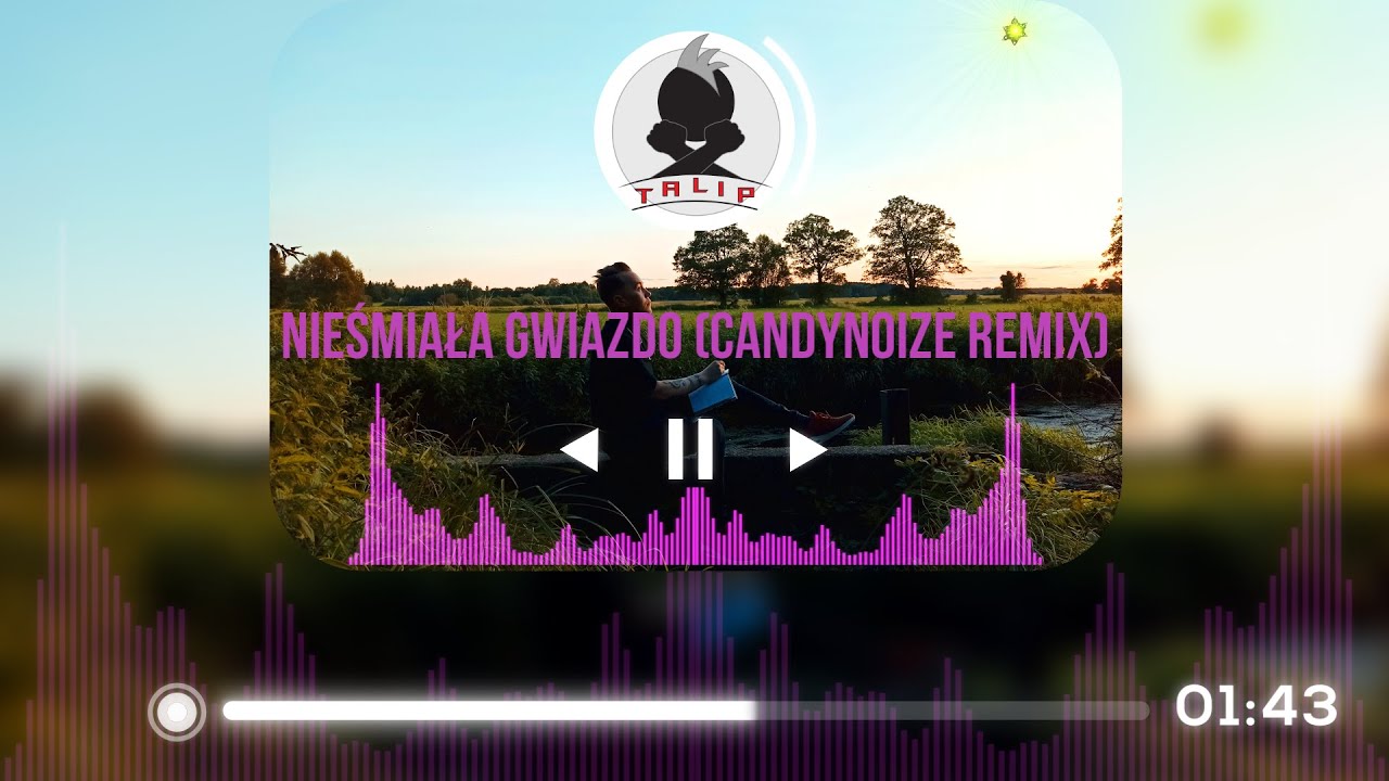 TALIP - NIEŚMIAŁA GWIAZDO (CANDYNOIZE REMIX) DISCO POLO 2022