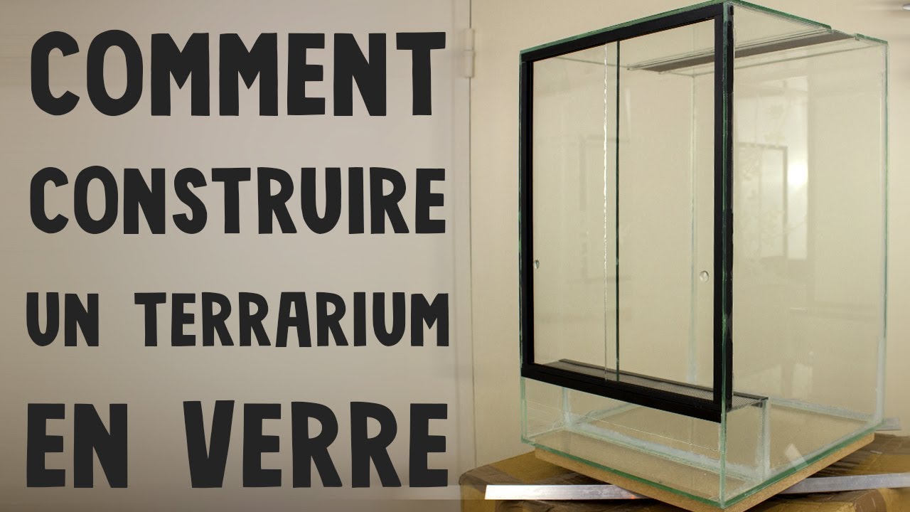 Comment Construire Un Terrarium en Verre