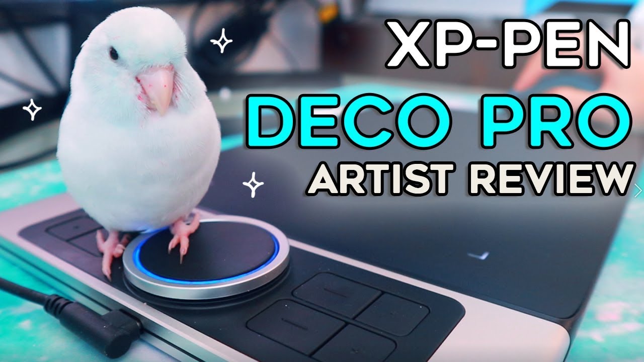 XP-PEN Deco Pro Review | Feat. The Parrotlets