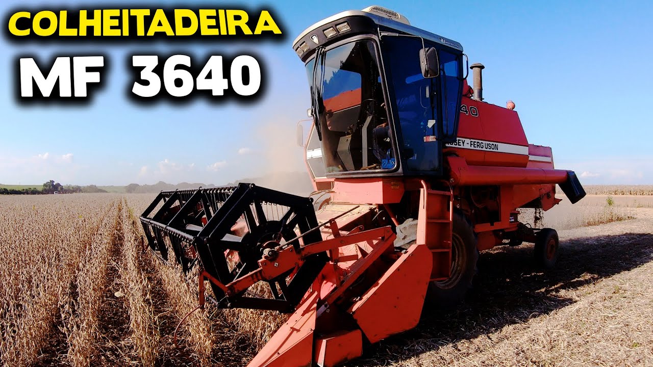 COLHEITADEIRA MASSEY FERGUSON 3640 ANO 1990 NA ATIVA *Relíquia*