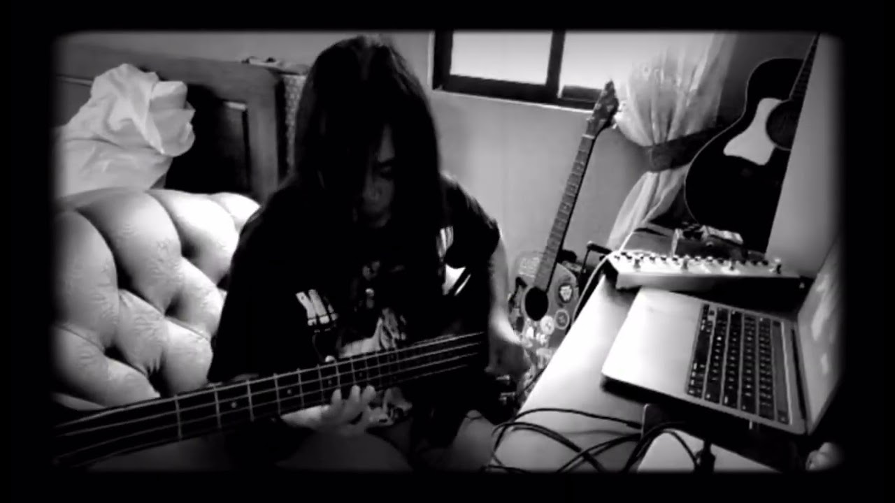 Spider by System of a down (bass cover) 