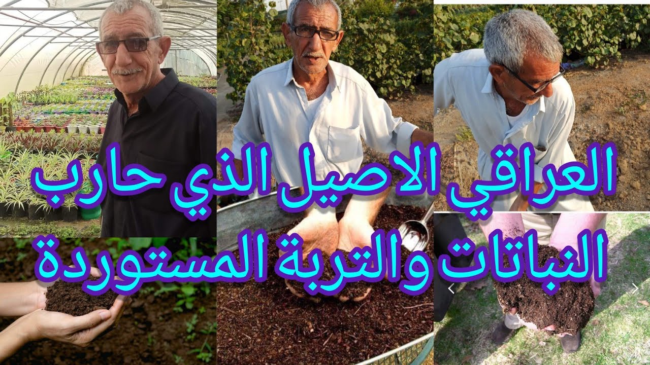 التربة الزراعية بإنتاج وطني تعرف على الشيبة المباركة التي حاربت المستورد سواء نباتات أو تربة زراعية