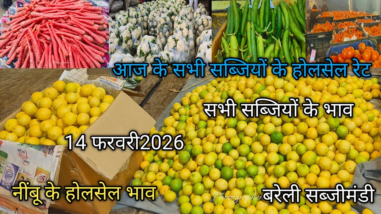 बरेली सब्जी मंडी 14 फरवरी 2026#streetfood #vegitablemarket #bareillysabjimandi#reels p#Bareilly Mand