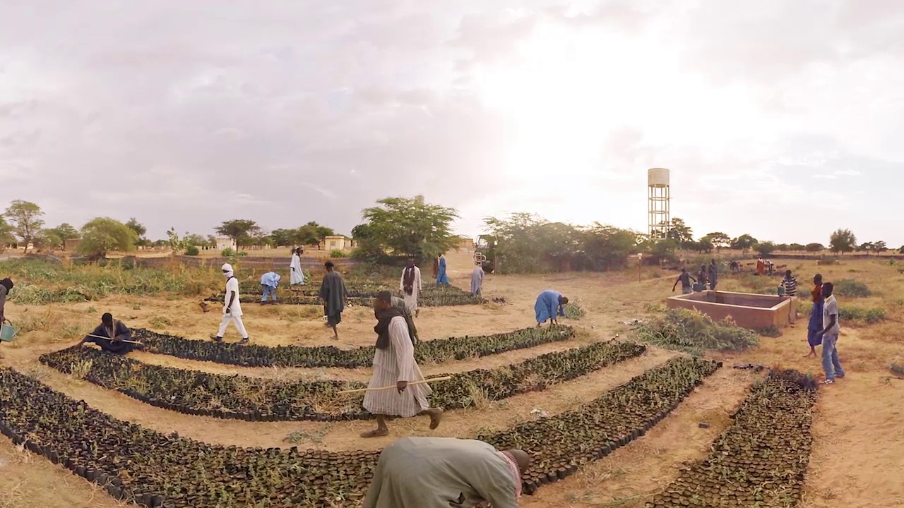 Growing a World Wonder | Virtual Reality film | NEW 2016