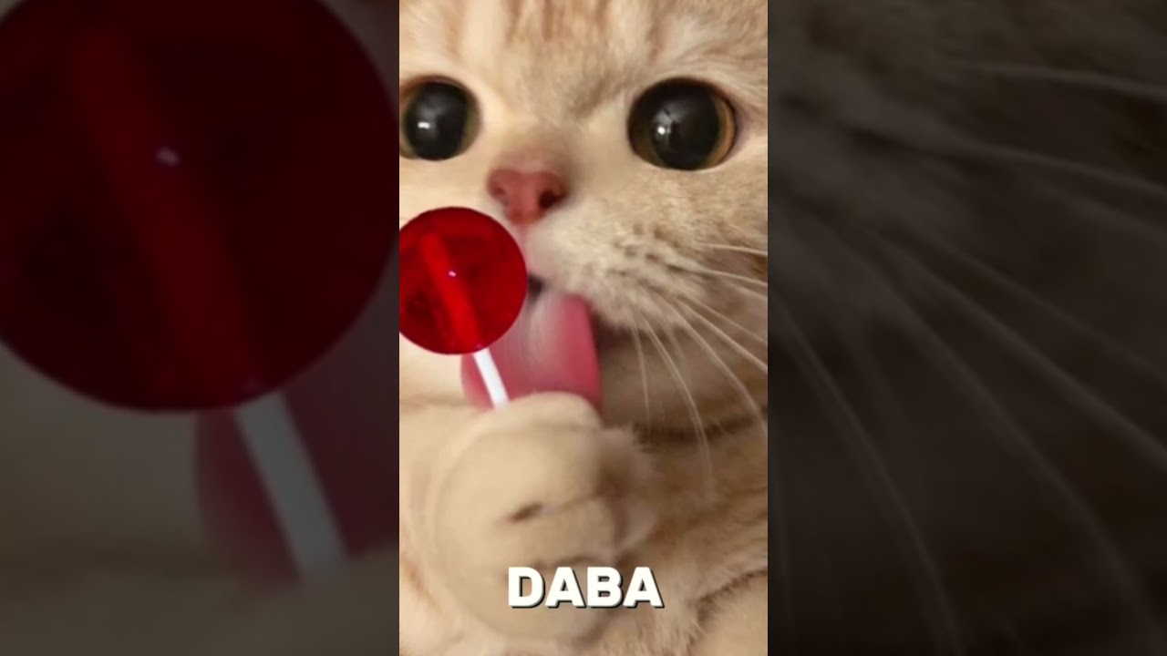 &Ccedil;ipi &ccedil;ipi &ccedil;apa &ccedil;apa