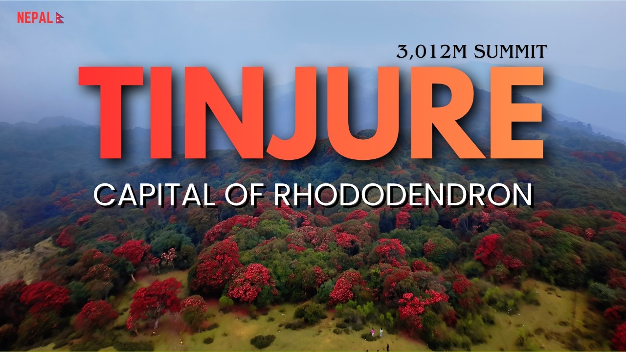 Tinjure Danda The Ultimate Travel Documentary | 10 Friends, Extreme Off-Road & Red Forest