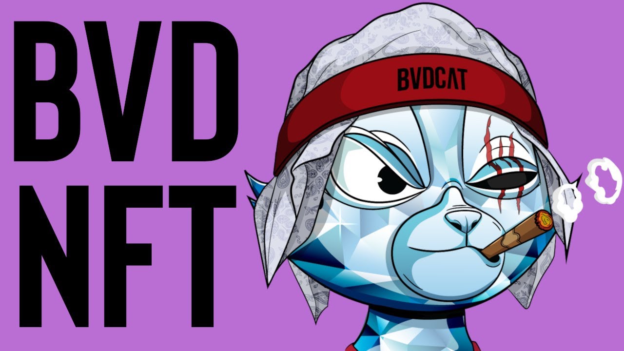 BVDCAT NFT on Solana - Trait Swapper Updates - Magic Eden Meta Data and Checking Solscan