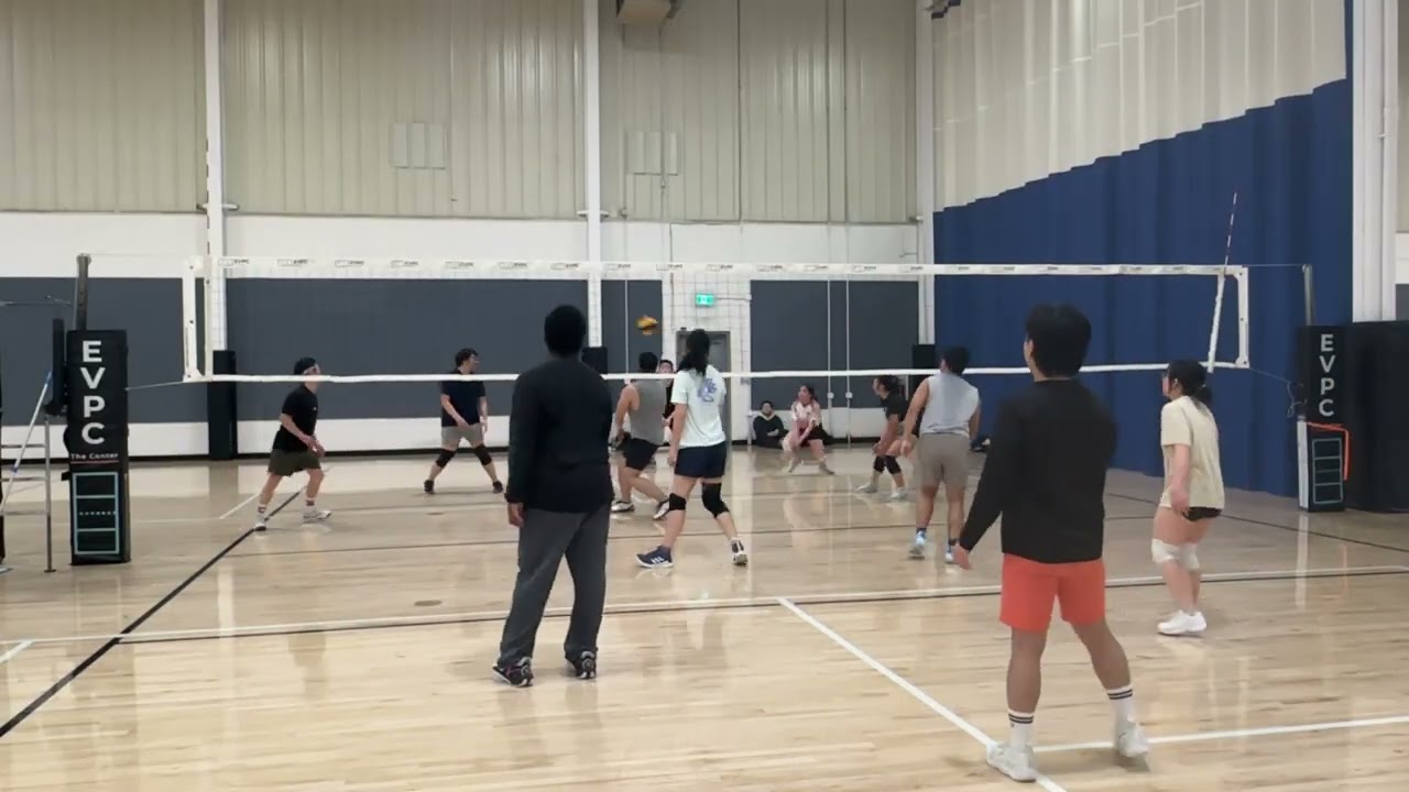 Jan 29: Clips 