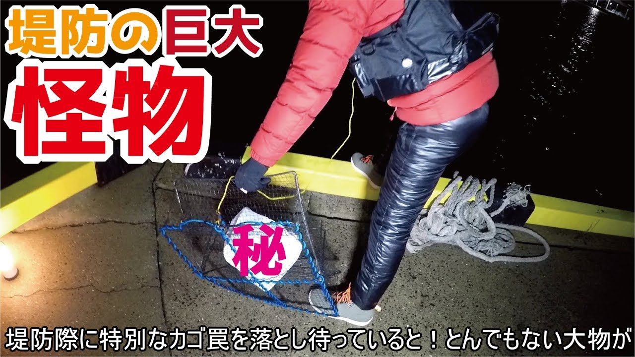 特別なカニ罠を堤防から沈め待機中とんでもない怪物に遭遇！釣りみにまにもコラボ(445話目)