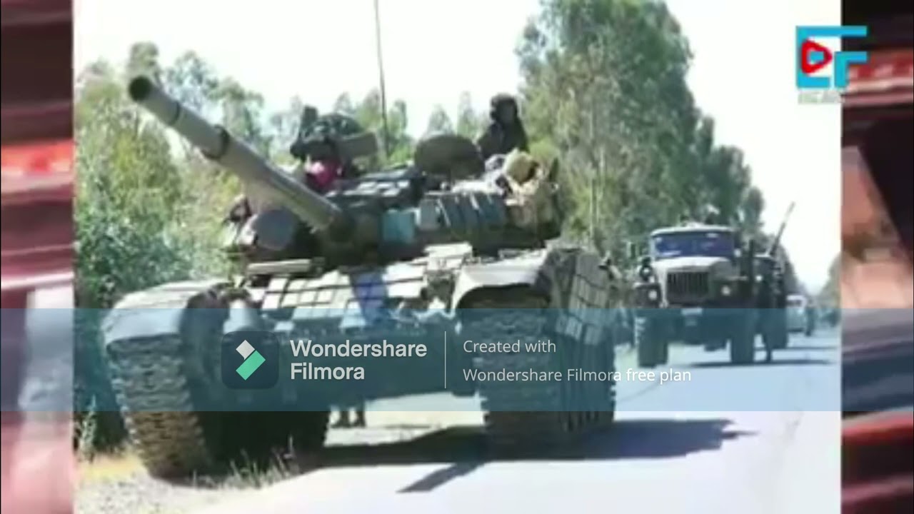 TIGRIA WAR NEWS