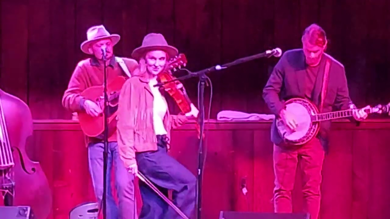 Senor by Hayde Bluegrass Orchestra 