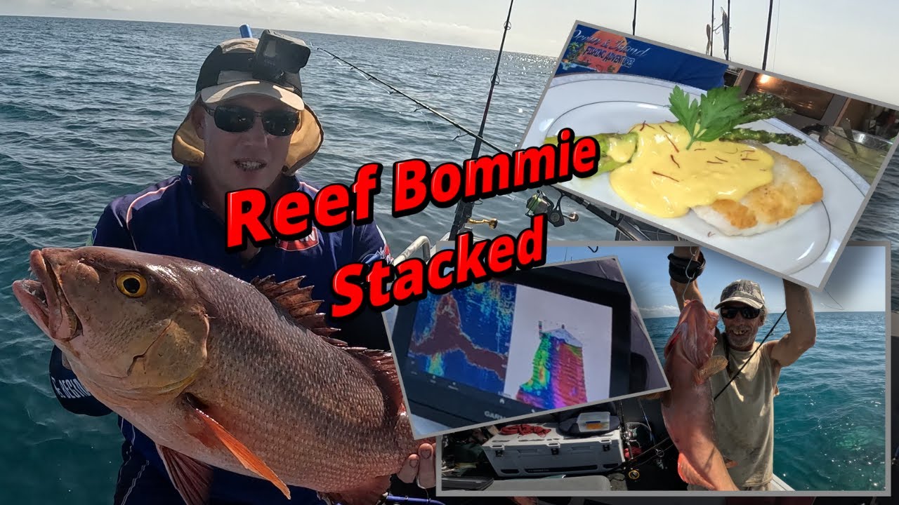 We found a hidden reef Bommie loaded with fish  (+ cooked gourmet Coral Trout)