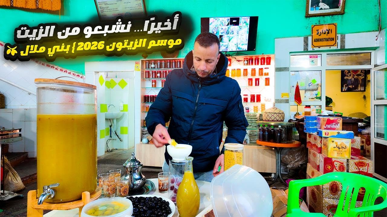 الثمن طاح بزاف! أخيرًا غادي  نشبعو من زيت الزيتون مع موسم قياسي ووفرة كبيرة فبني ملال 🫒