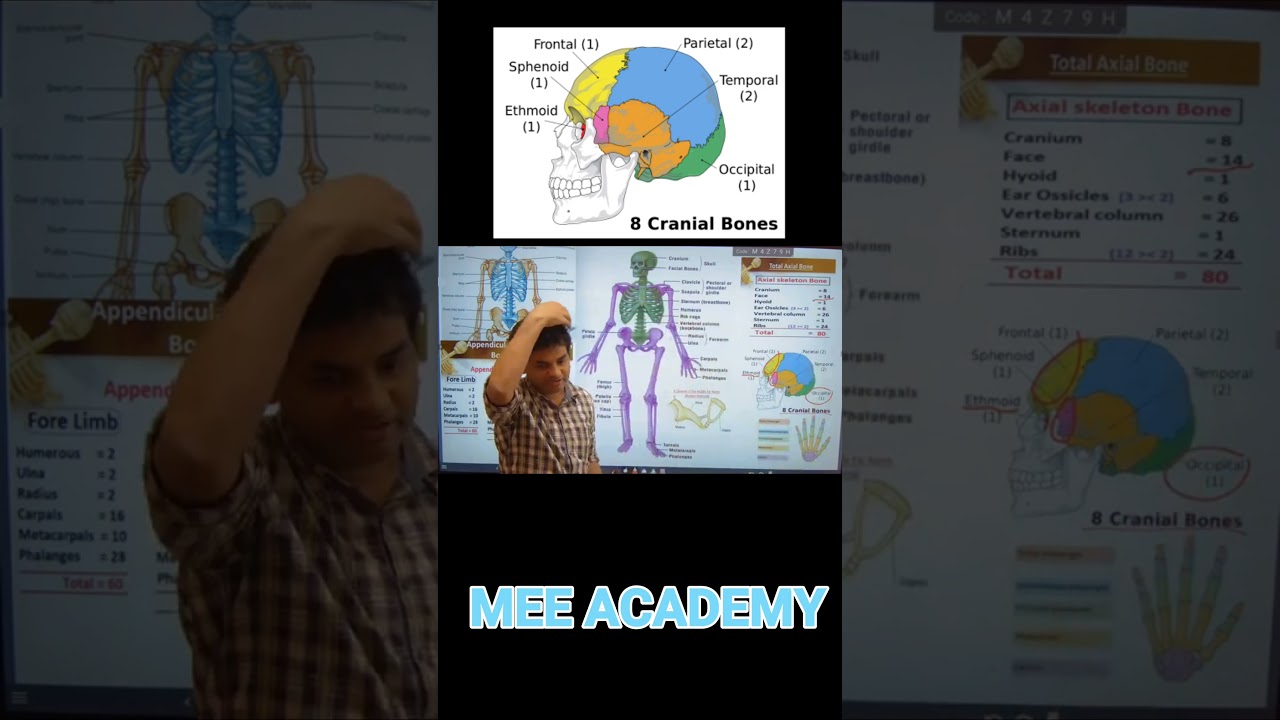 Cranial bone mee academy best coaching for IIT and neet in Bokaro