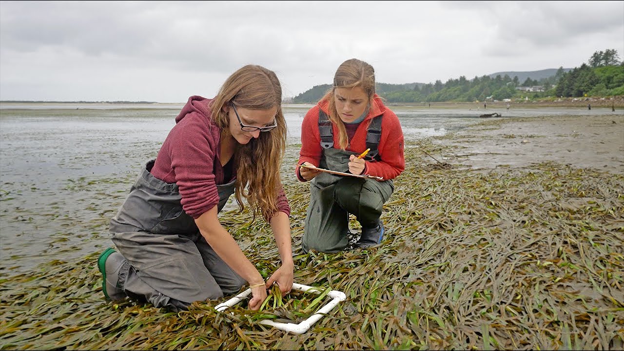 Careers in Science: Academic opportunities in marine subjects at Oregon State University