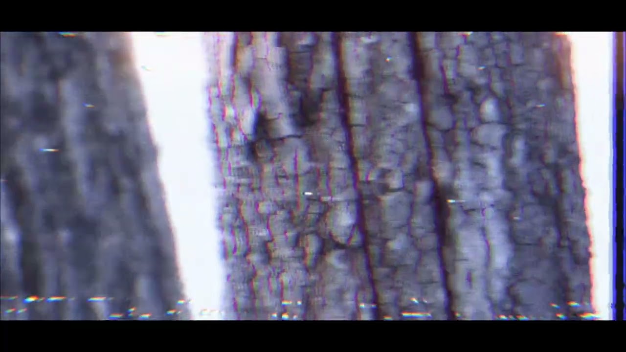 $uicideboy$ - BLOODSWEAT (slowed & reverbed)