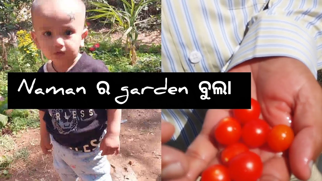 ଗୋଟେ  ନୁଆ ଜିନିଷ  taste କଲୁ 🥰👌 #vlog #dailyvlog #garden 