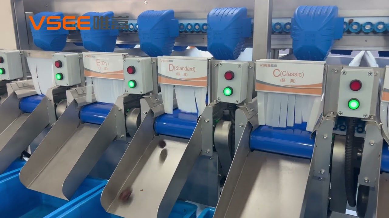 VSEE Medjool Quality Arabia Palm Date Sorting Machine