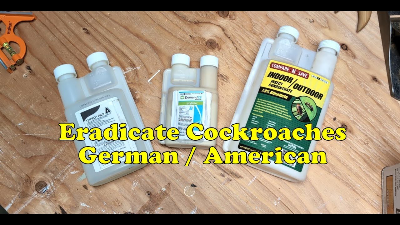 Pest Control and Eradicate Cockroaches