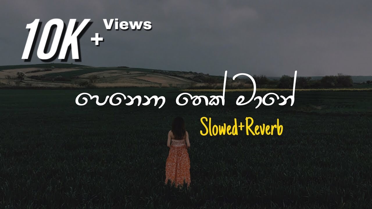 Penena Thek Mane - පෙනෙනා තෙක් මානේ (Slowed+Reverb)
