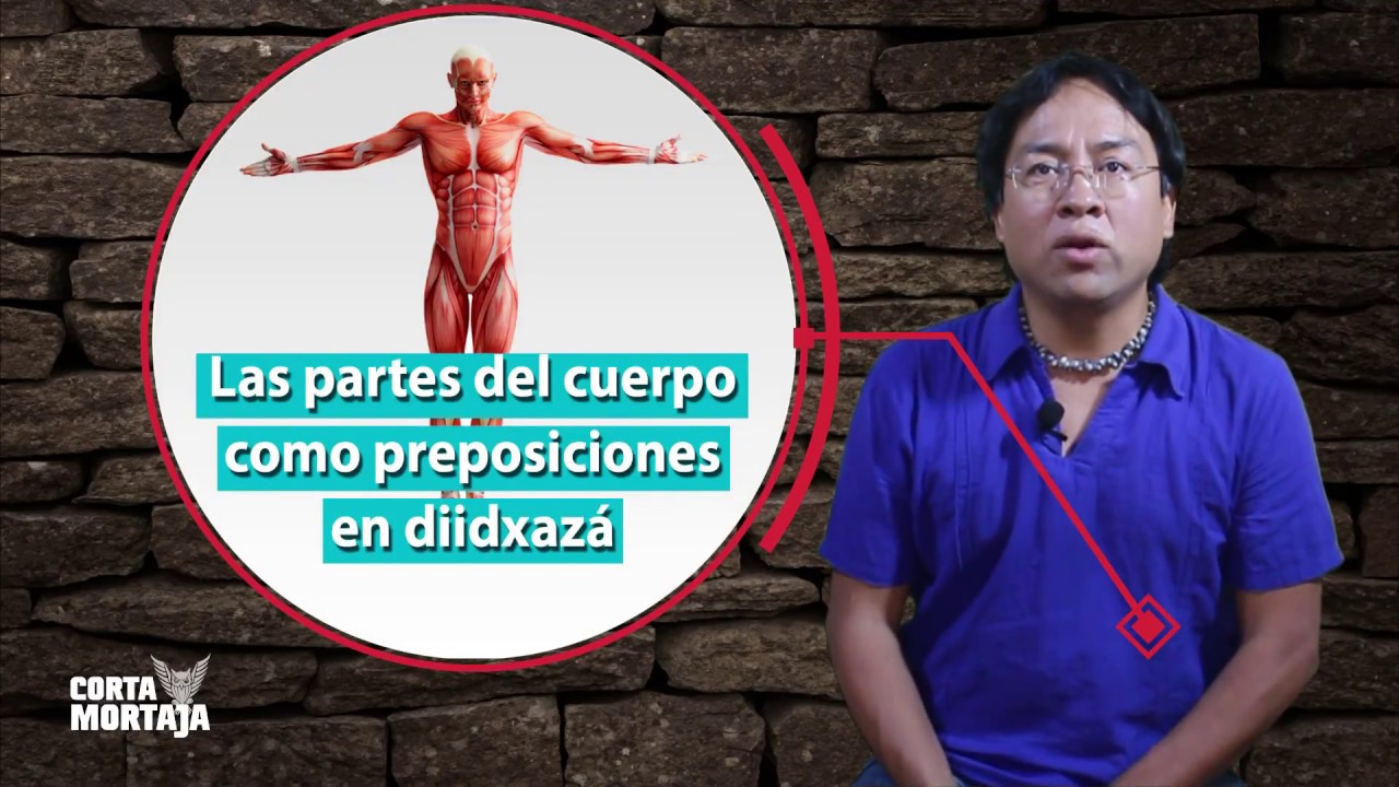 Las partes del cuerpo como preposiciones en diidxaza (Zapoteco)
