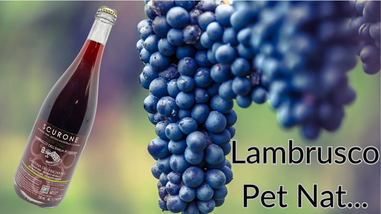 All About LAMBRUSCO P&eacute;t-Nat