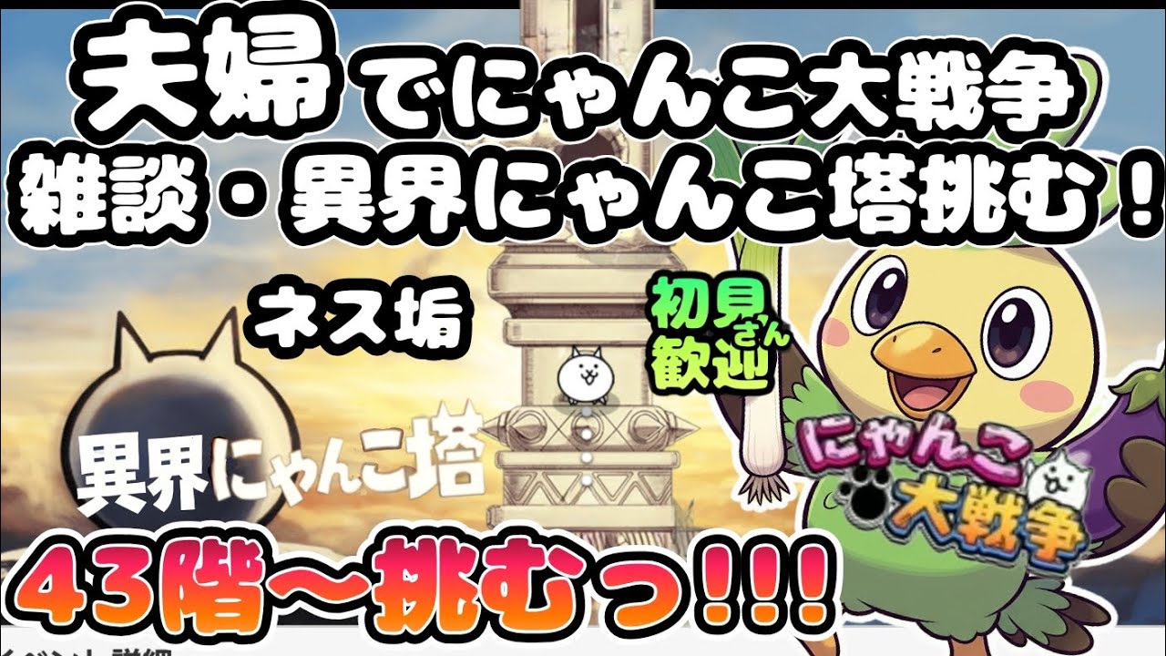 ネス垢風雲にゃんこ塔🏰【初見さん大歓迎】夫婦実況+リアルにゃんこでまったりにゃんこ大戦争・雑談🐾ライブ配信#131にゃんこ大戦争 #縦型配信 #ライブ配信 #shorts #shorts #初見