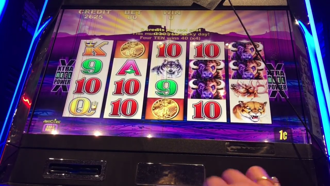 Chasing win on Buffalo Slot machine and China Shore