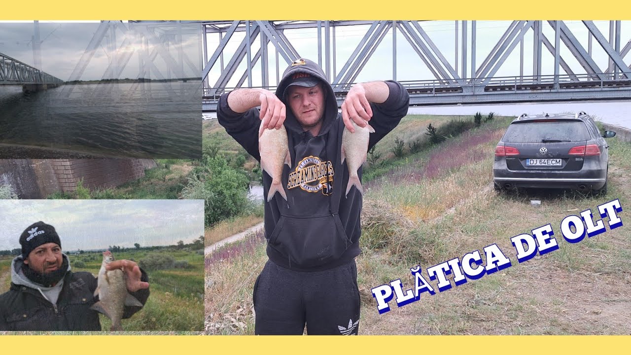 PLATICA MARE DE OLT/DOAR LA PESCUIT PENTRU PESCARI/PESTE MARE #hacker #lapescuit #dunarenii #viral