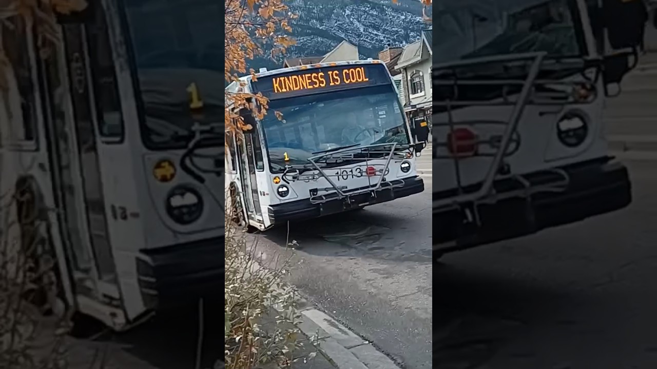 Roam Transit 
