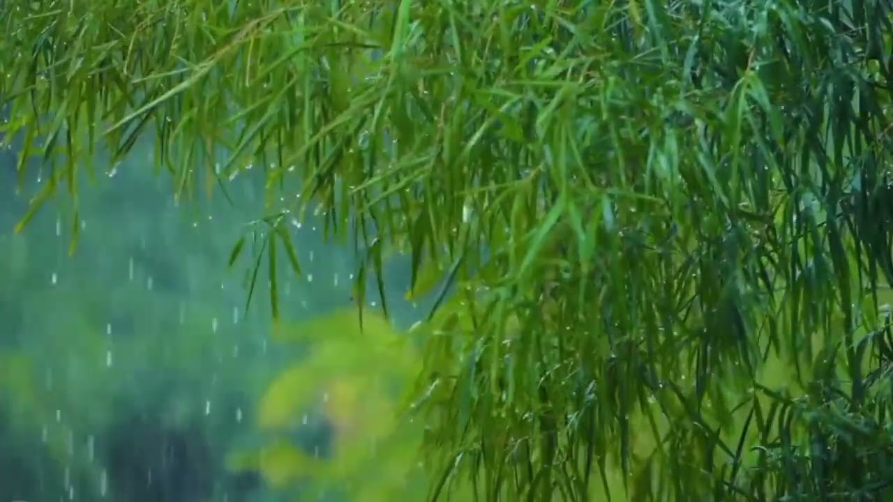 3 HOURS Rain and Thunder, Thunderstorm, Rain and Rolling Thunder, Distant Thunder & Rain Sounds