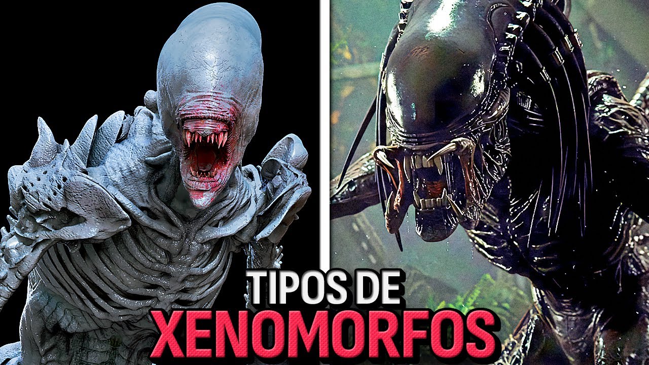 Todos Los Tipos de XENOMORFOS en la Saga de Alien
