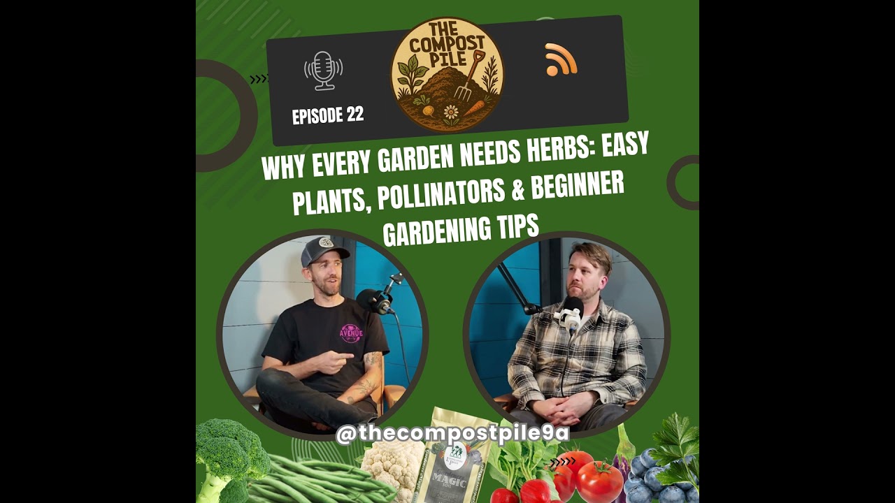 Why Every Garden Needs Herbs: Easy Plants, Pollinators & Beginner Gardening Tips
