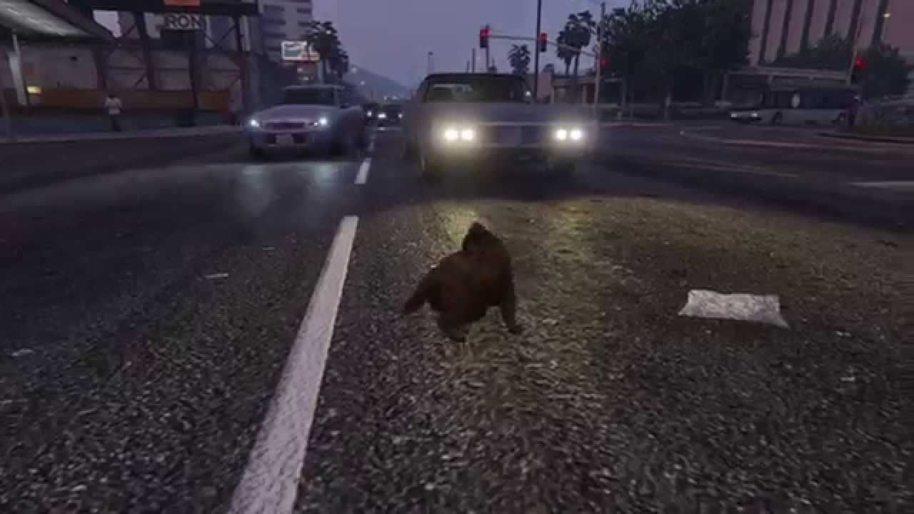 GTA 5 - Play as animal - Chat/Cat (peyote)