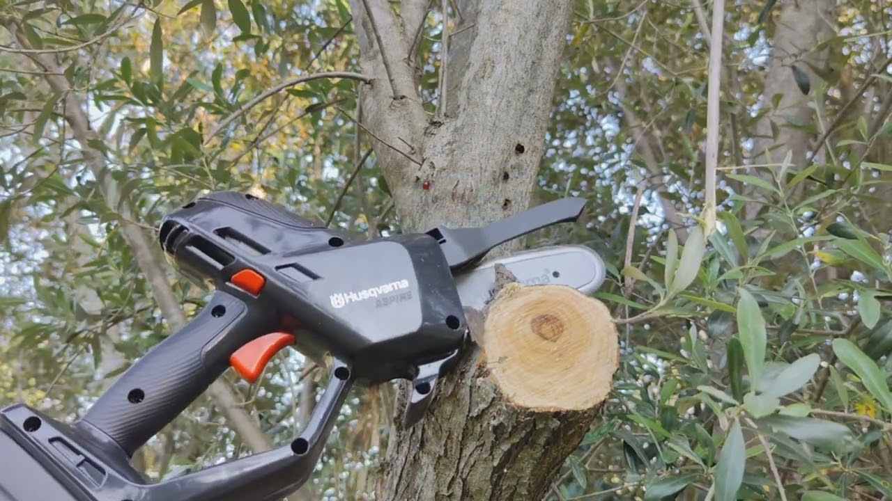 Scie de jardin à batterie sur perche Husqvarna Aspire PE5-P4A en action