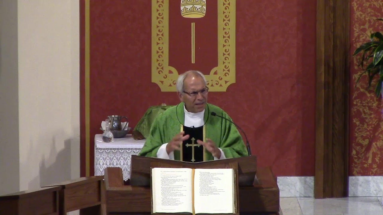 Thirteenth Sunday in Ordinary Time (Year B) - Fr. Hahn