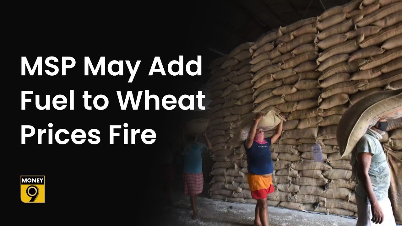 Money9 Special: Why the centre might find it difficult to increase wheat procurement despite  MSP?