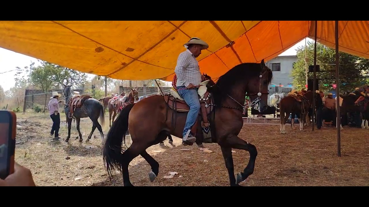 Juan Diego 9 de diciembre 2025