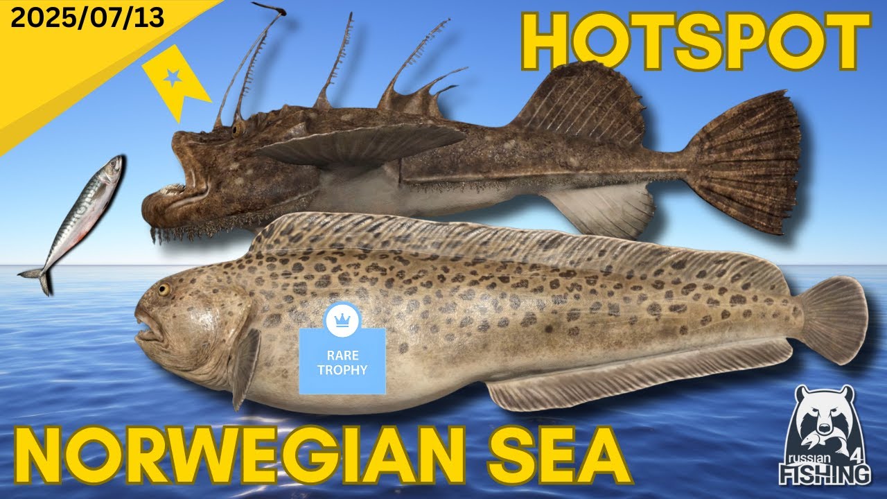 Making Mountains of Silver - Russian Fishing 4