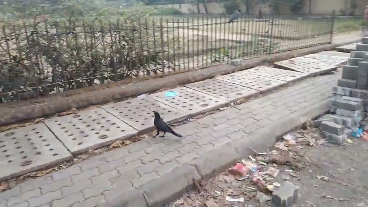 CGS colony Sector number 7 वडाला 37 चर्च एंटॉप हिल 
