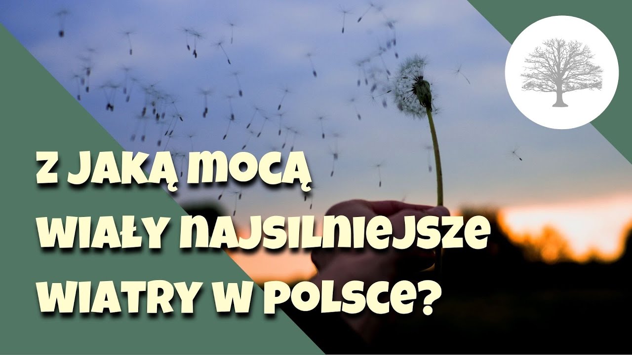 WICHURY W POLSCE - jak powstają tak silne wiatry?