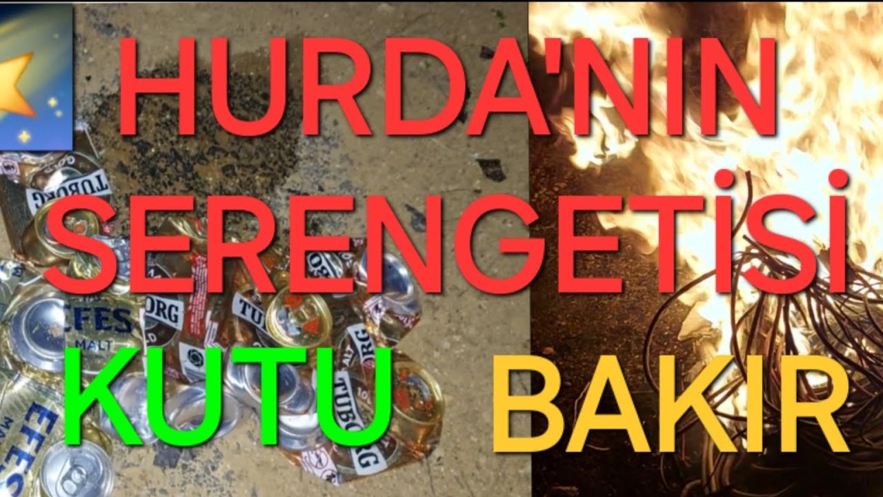 HURDA'NIN SERENGETİSİ VE TERAPİ ASMR