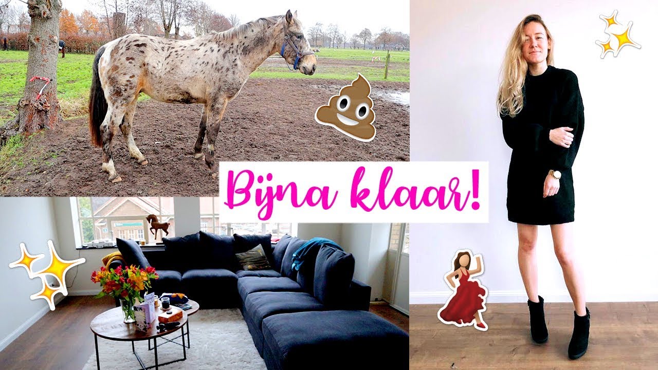 OLYMPUS IS MEGA VIES & HET HUIS IS BIJNA AF! | felinehoi VERHUISVLOGMAS #149
