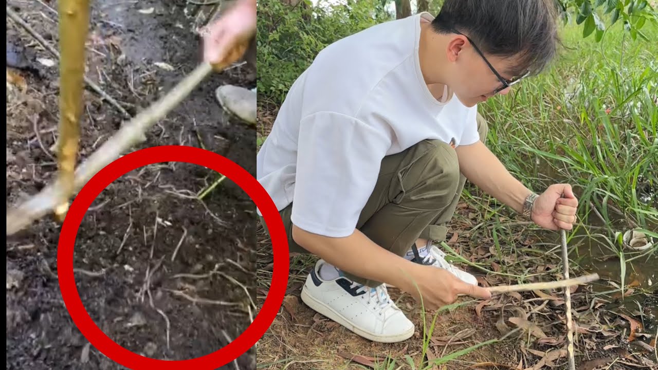 សាកធ្វើ Worm Grunting