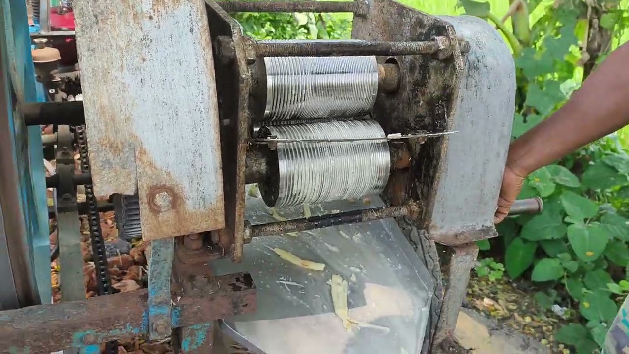 Sugarcane Juice in a Village - The man making it on an automatic machine