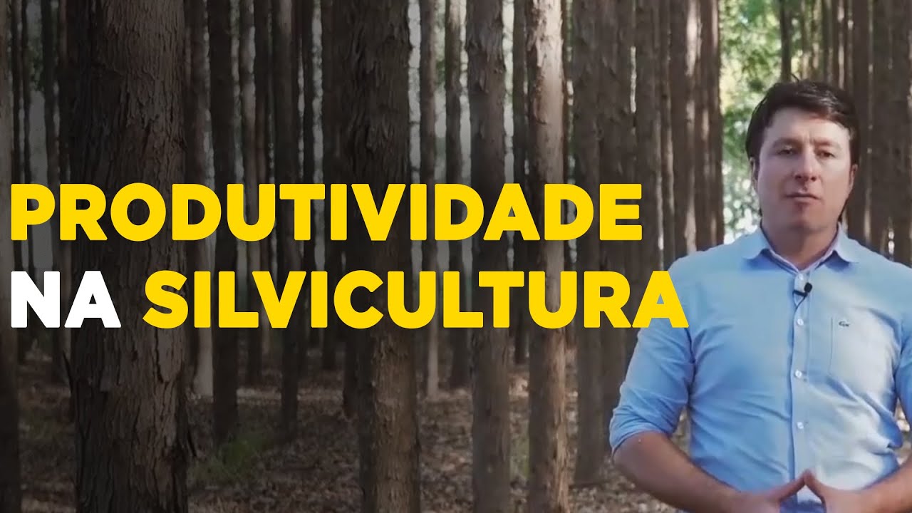 Produção Florestal de Sucesso: Dicas Práticas Para Lucrar Mais!